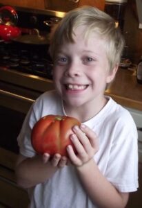 The Hoophouse Tomato:  Start Seeds in January! Image